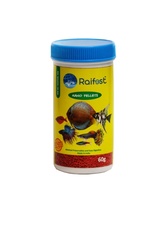 raifest
